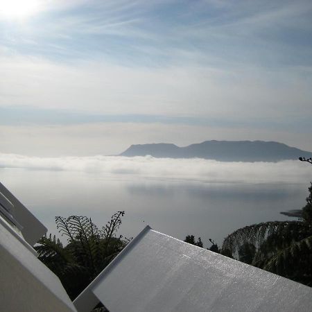 Te Whare -Lake Tarawera Tree-Top Nest Luaran gambar
