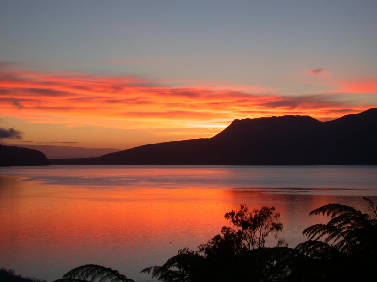 Te Whare -Lake Tarawera Tree-Top Nest Luaran gambar